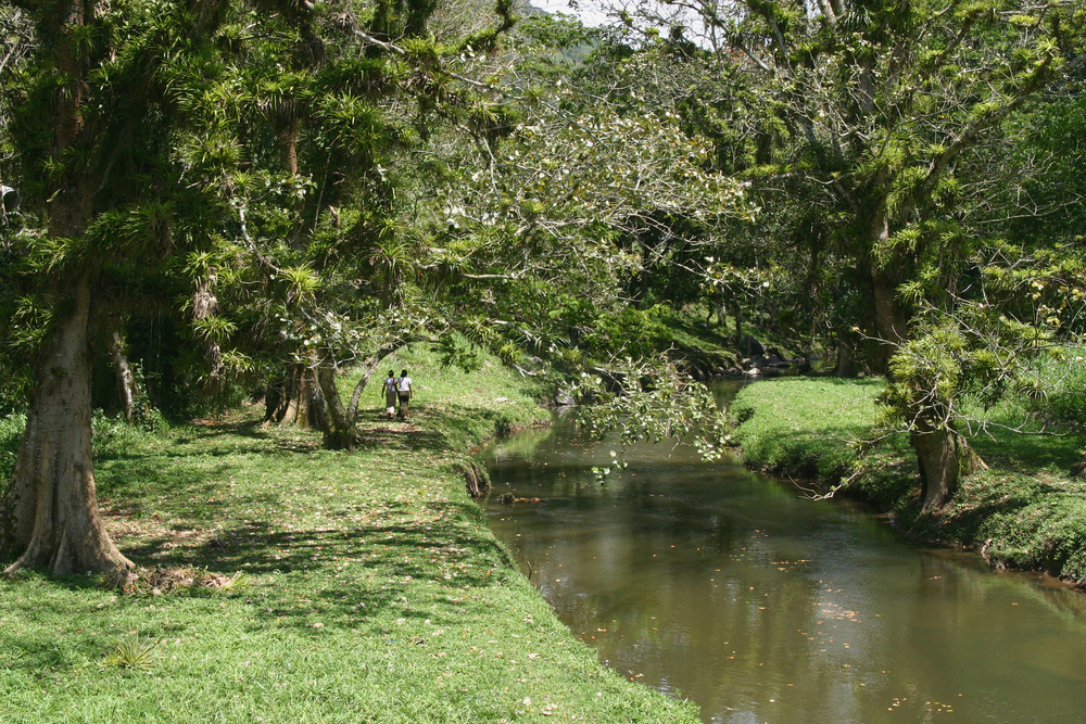 View of the River Rio Platano snaking through the jungles of Honduras