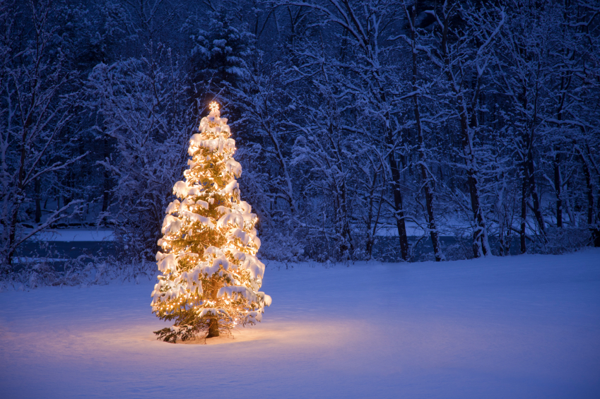 Lit up Christmas tree in a field with a river and forest in the background