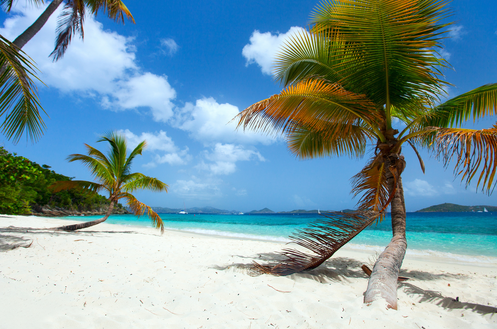 Beautiful white sand beach in St John, US Virgin Islands 