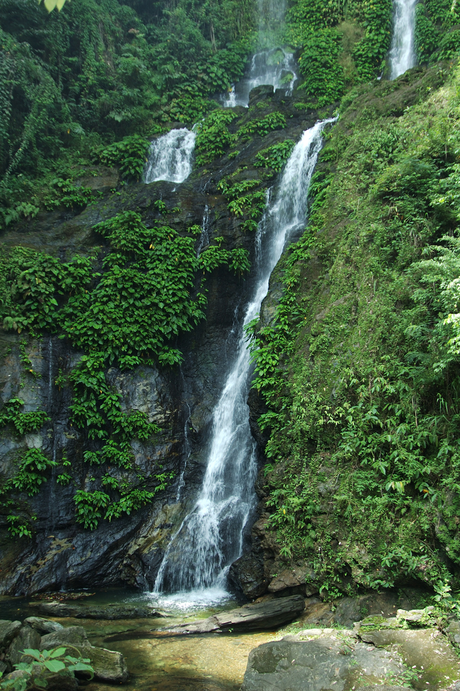 Tamaraw Falls