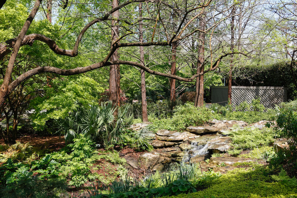 Dallas Aboretum and Botanical Garden